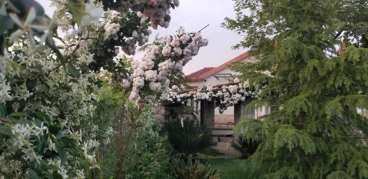 Country House Bubullime Albania Lushnjë Exterior foto