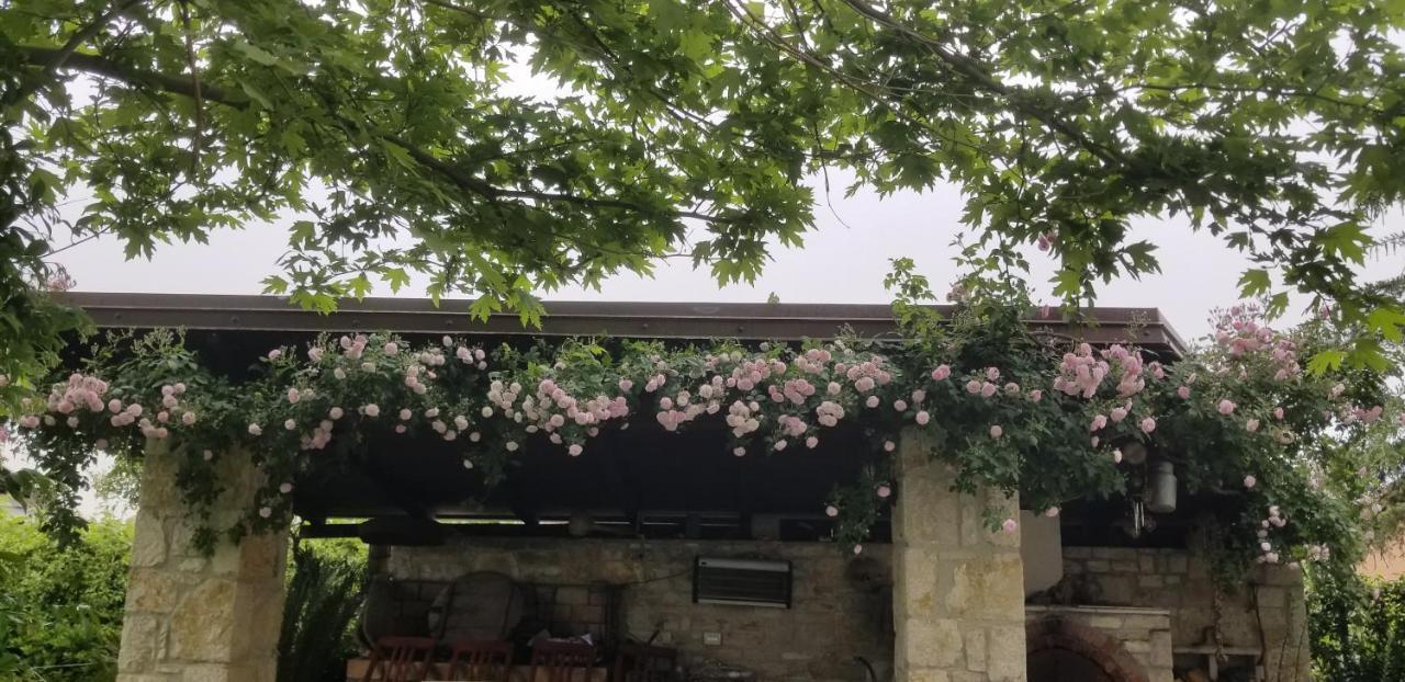 Country House Bubullime Albania Lushnjë Exterior foto